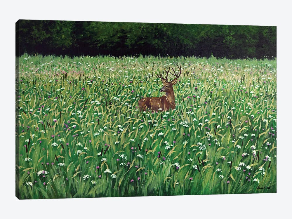 Bieszczady Meadow by Agnieszka Turek 1-piece Canvas Wall Art