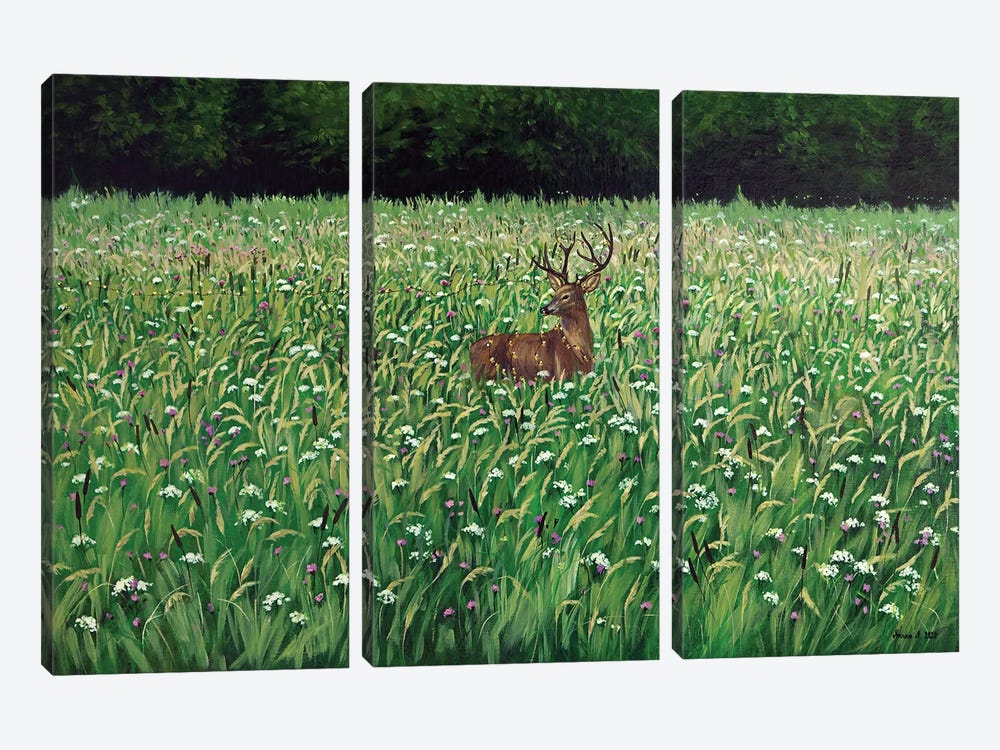 Bieszczady Meadow by Agnieszka Turek 3-piece Canvas Art