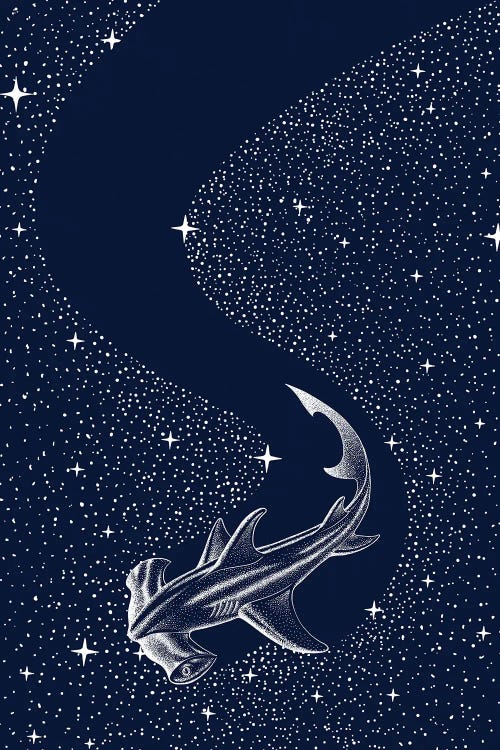 Starry Hammerhead by Aliriza Cakir wall art