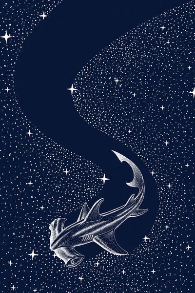Sharks: Starry Hammerhead by Aliriza Cakir