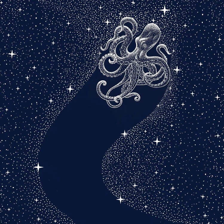 Starry Octopus