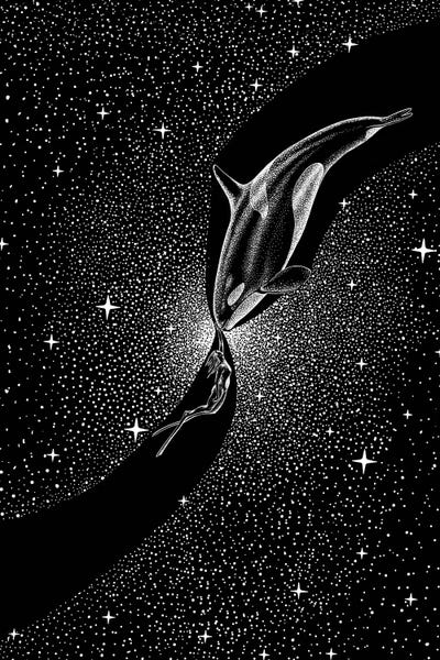 Starry Orca And Diver by Aliriza Cakir canvas print