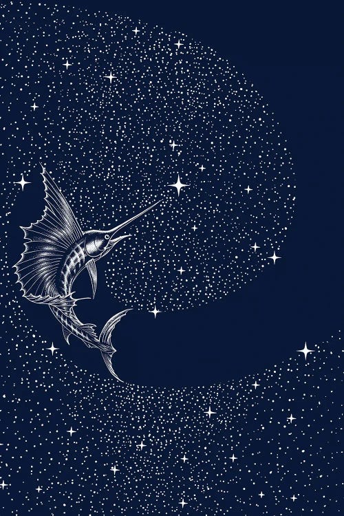 Starry Sailor
