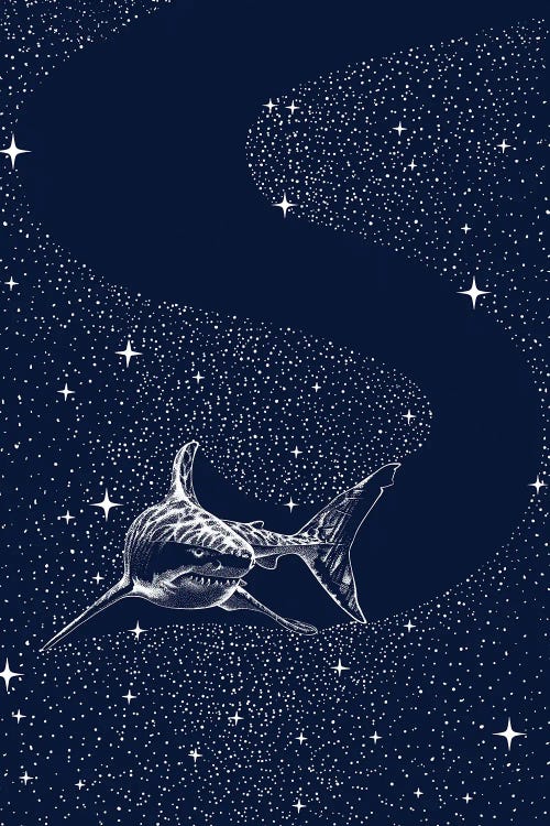 Starry Shark by Aliriza Cakir wall art