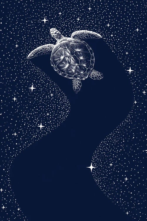 Starry Turtle by Aliriza Cakir wall art