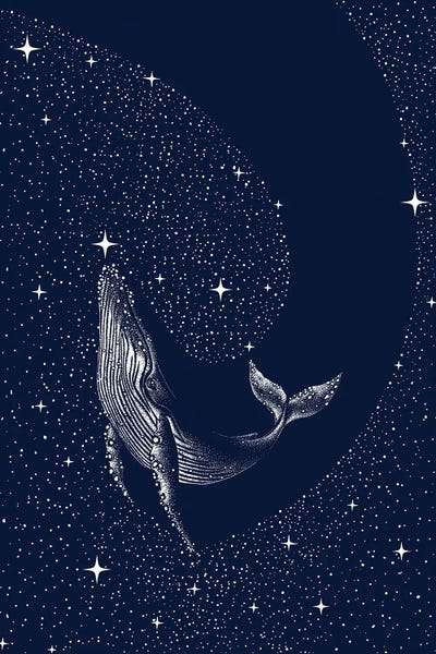 Humpback Whales: Starry Whale by Aliriza Cakir