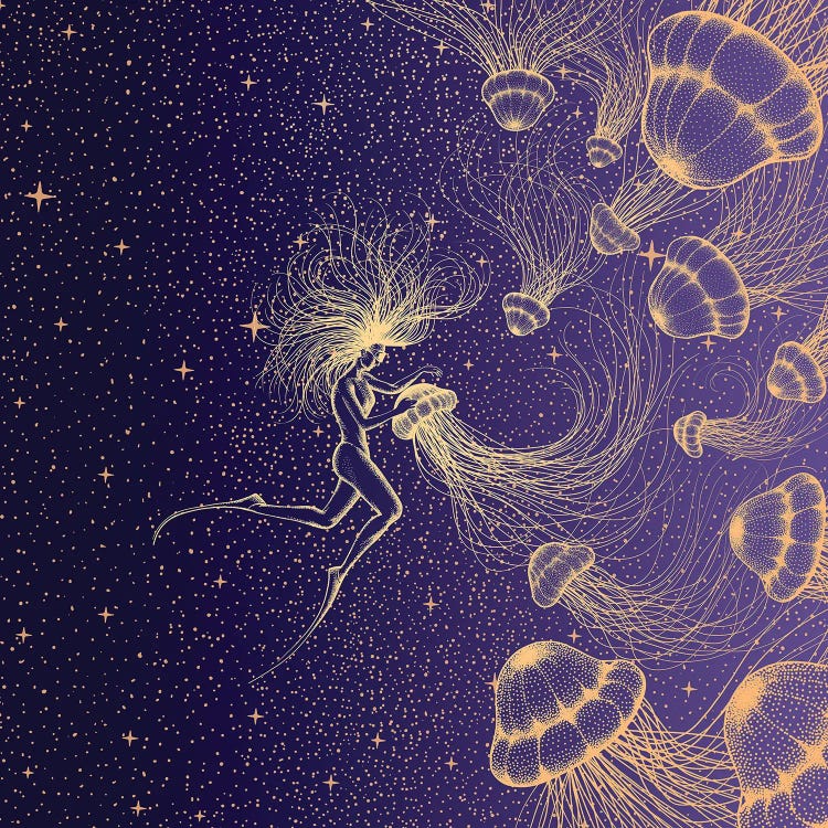 Diver & Jellyfish by Aliriza Cakir wall art