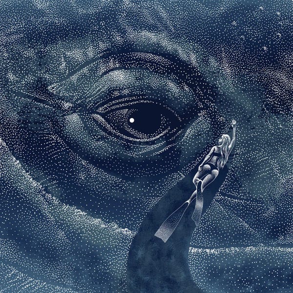 Animal Lover: In The Whale's Eye by Aliriza Cakir