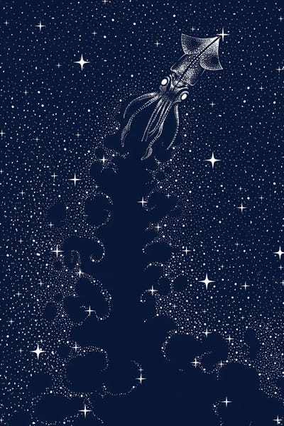 Squid: Star Inker by Aliriza Cakir