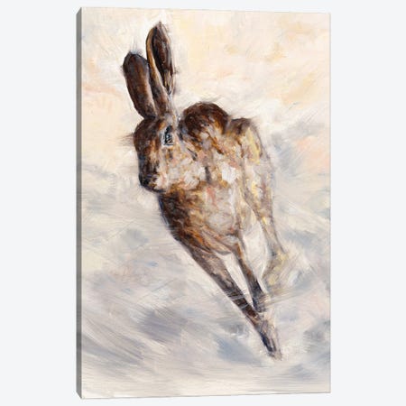 Chaos Bunny I Canvas Print #AZM19} by Aliza and Her Monsters Canvas Wall Art