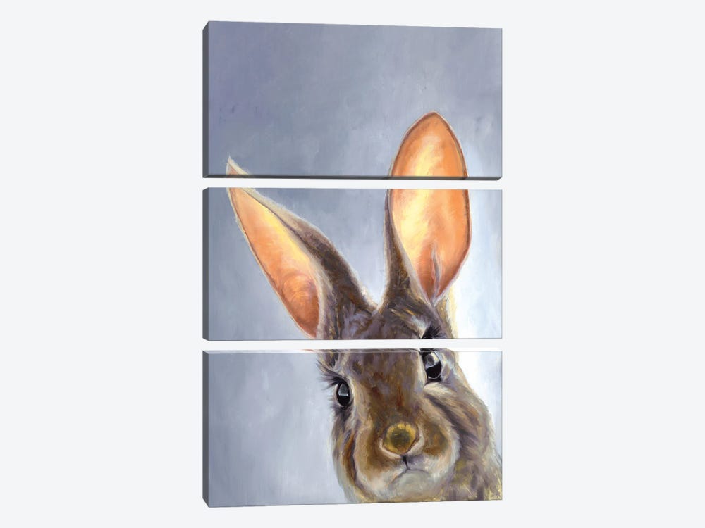 Chaos Bunny Portrait I by Aliza and Her Monsters 3-piece Canvas Artwork