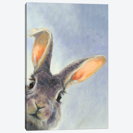 Chaos Bunny Portrait II Canvas Print #AZM21} by Aliza and Her Monsters Canvas Print