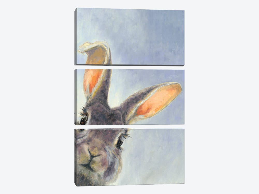 Chaos Bunny Portrait II by Aliza and Her Monsters 3-piece Art Print