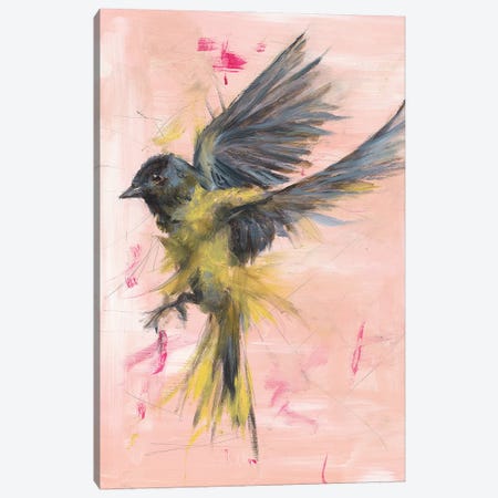 Finch Notes Canvas Print #AZM24} by Aliza and Her Monsters Canvas Artwork