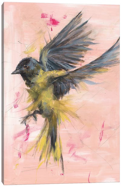 Finch Notes Canvas Art Print - Finch Art