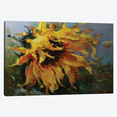 Sunflower Canvas Print #AZS51} by Aziz Sulaimanov Canvas Artwork