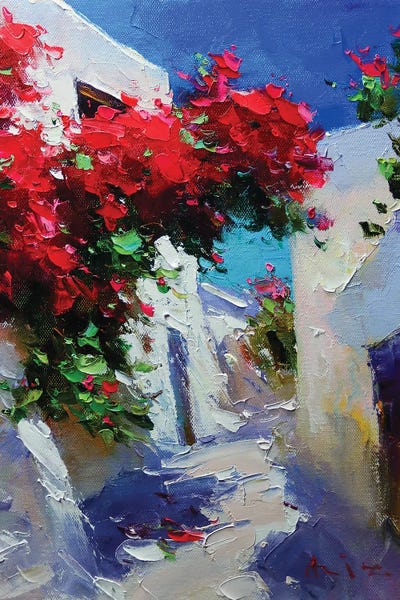 Bougainvillea: White Street by Aziz Sulaimanov