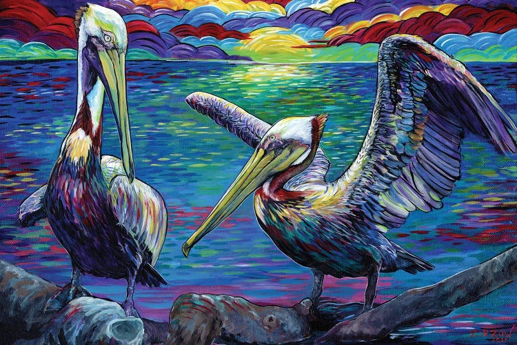 Two Pelicans At Sunset