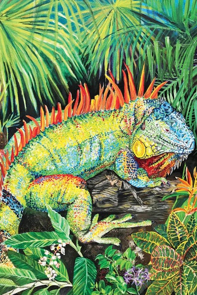 Rainbow Iguana by Amanda Zirzow framed wall art