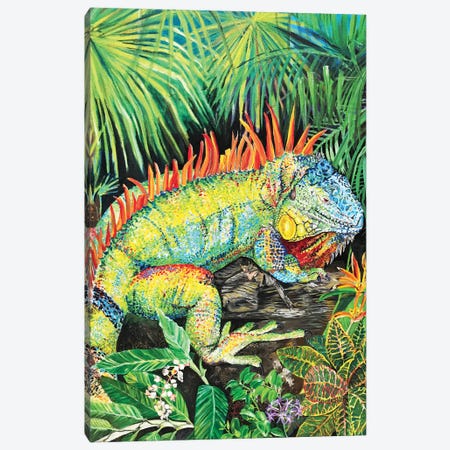 Rainbow Iguana Canvas Print #AZW12} by Amanda Zirzow Canvas Art