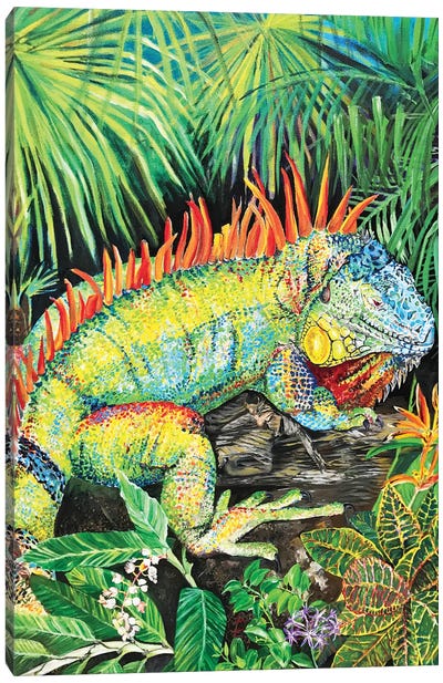 Rainbow Iguana Canvas Art Print - Amanda Zirzow