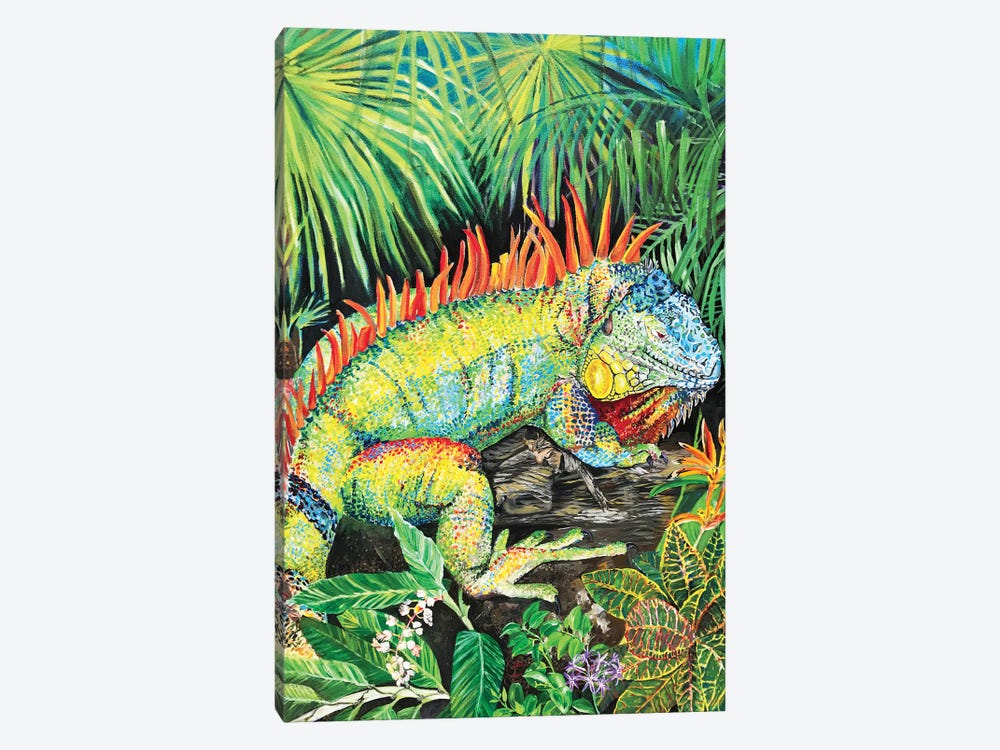 Rainbow Iguana by Amanda Zirzow 1-piece Canvas Art