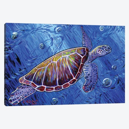 Intergalactic Sea Turtle Canvas Print #AZW13} by Amanda Zirzow Canvas Wall Art