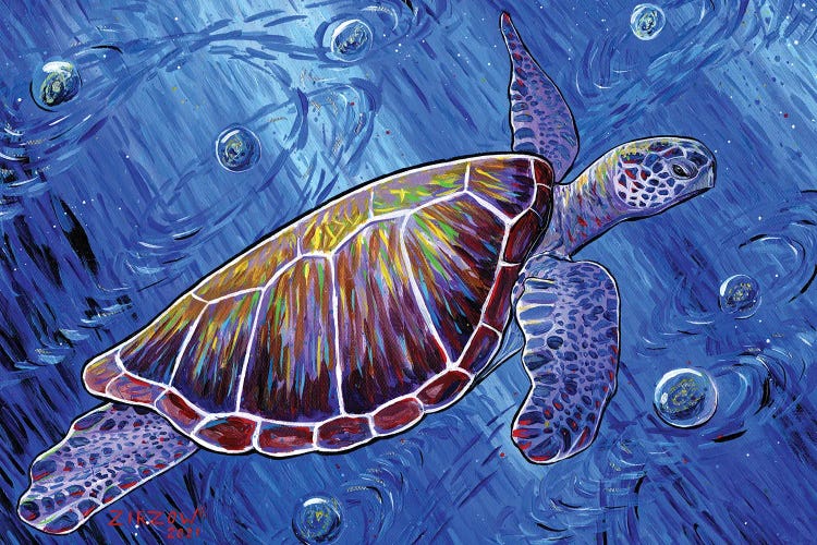 Intergalactic Sea Turtle by Amanda Zirzow wall art