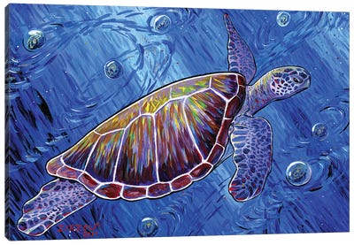 Intergalactic Sea Turtle Canvas Art Print - Amanda Zirzow