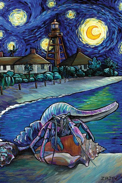 The Hermit Crab In The Starry Night by Amanda Zirzow framed wall art