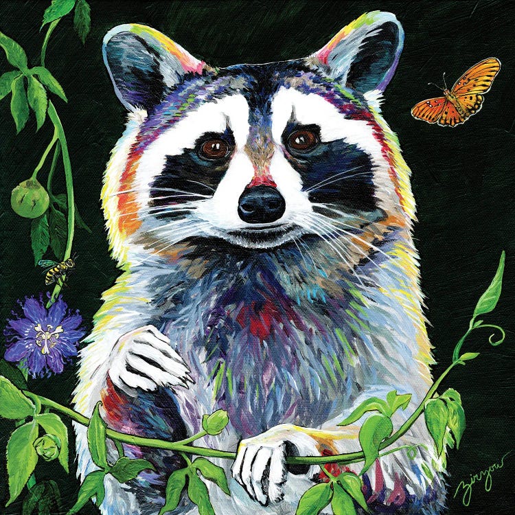 The Raccoon And The Honeybee