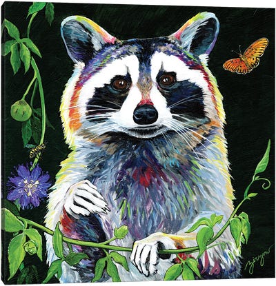 The Raccoon And The Honeybee Canvas Art Print - Amanda Zirzow