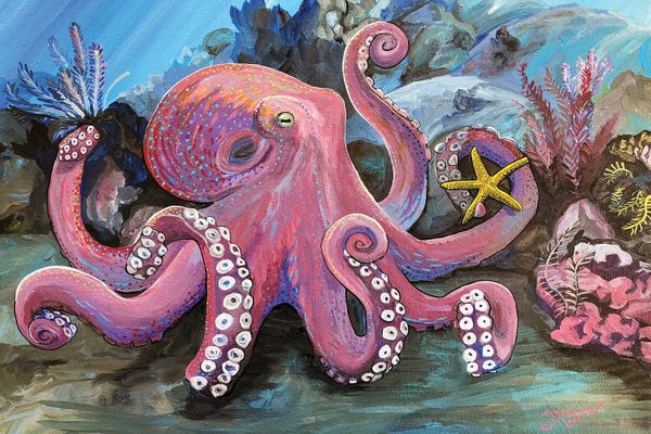 Amanda Zirzow: Octopus Kisses And Starfish Wishes by Amanda Zirzow