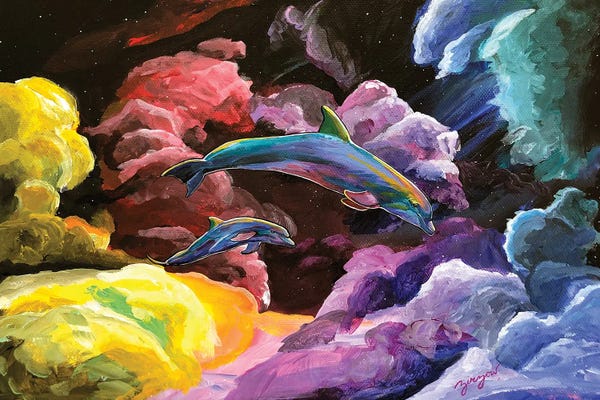 Amanda Zirzow: Dolphin Dreaming by Amanda Zirzow