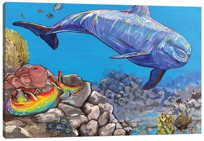 The Dolphin And The Sea Hare Canvas Art Print - Amanda Zirzow