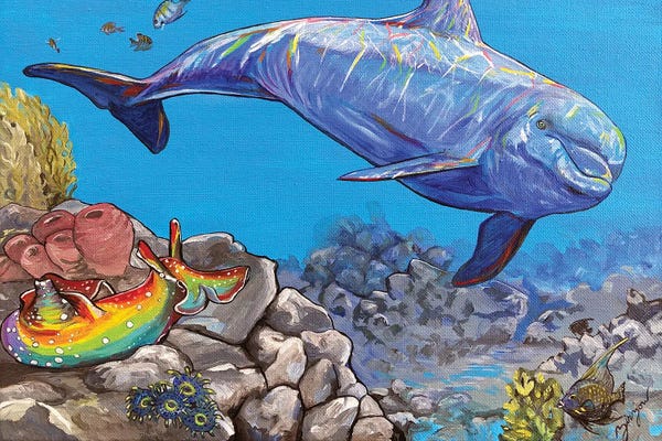 Amanda Zirzow: The Dolphin And The Sea Hare by Amanda Zirzow