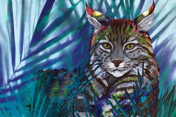 Amanda Zirzow: Rainbow Bobcat by Amanda Zirzow