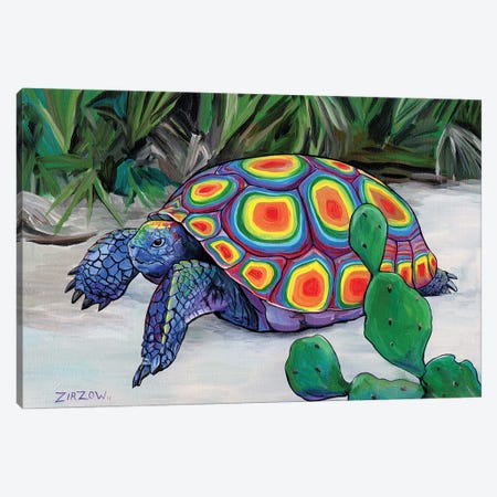 Bob Walker (Gopher Tortoise) Canvas Print #AZW33} by Amanda Zirzow Canvas Artwork