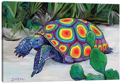 Bob Walker (Gopher Tortoise) Canvas Art Print - Amanda Zirzow
