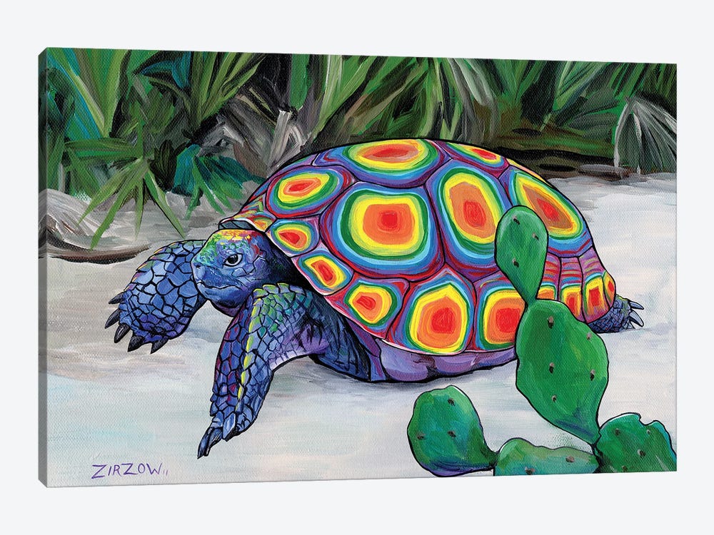 Bob Walker (Gopher Tortoise) by Amanda Zirzow 1-piece Art Print