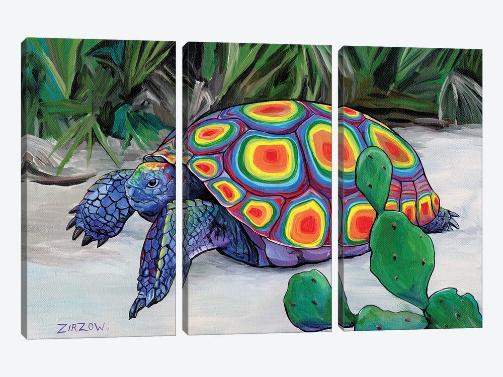 Bob Walker (Gopher Tortoise) by Amanda Zirzow 3-piece Art Print