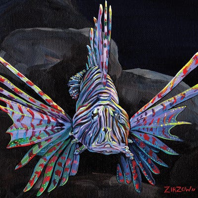 Look, Don't Touch (Lionfish) by Amanda Zirzow framed wall art