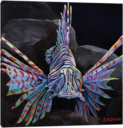 Look, Don't Touch (Lionfish) Canvas Art Print - Amanda Zirzow