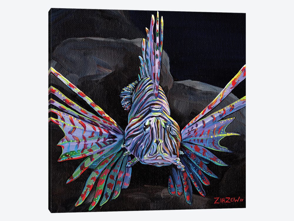 Look, Don't Touch (Lionfish) by Amanda Zirzow 1-piece Canvas Art
