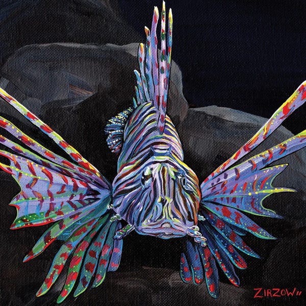 Amanda Zirzow: Look, Don't Touch (Lionfish) by Amanda Zirzow
