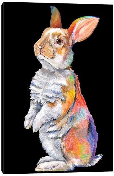 Rainbow Rabbit Canvas Art Print - Amanda Zirzow