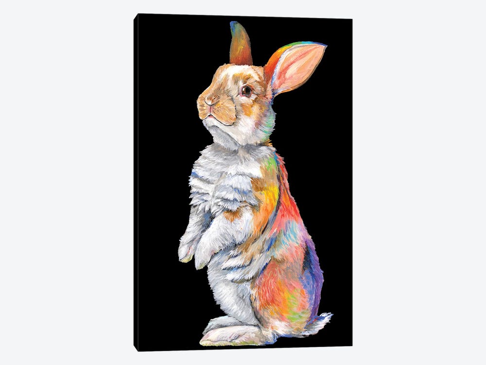Rainbow Rabbit by Amanda Zirzow 1-piece Canvas Art