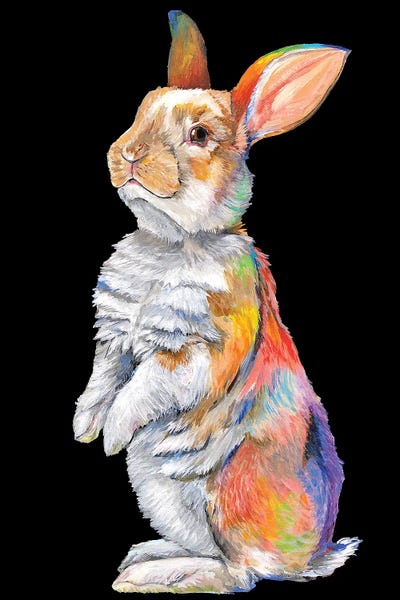 Amanda Zirzow: Rainbow Rabbit by Amanda Zirzow