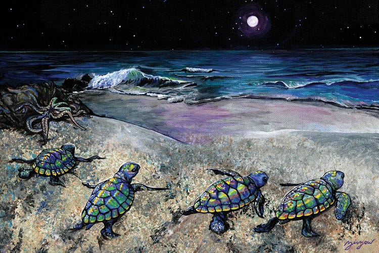 New Horizons (Baby Sea Turtles)