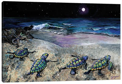 New Horizons (Baby Sea Turtles) Canvas Art Print - Amanda Zirzow